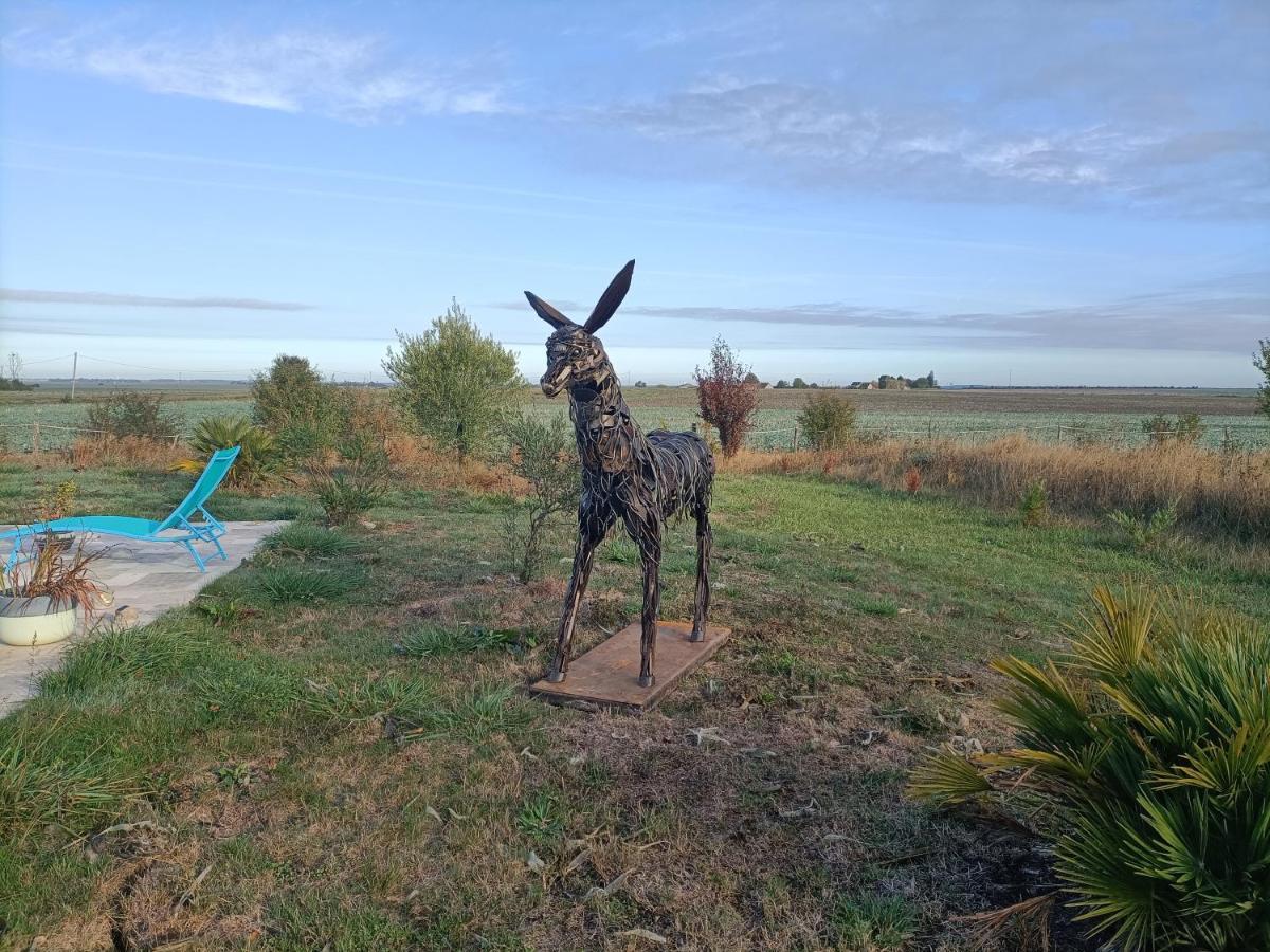 La Fosse Seche Bed & Breakfast Dolus-le-Sec Luaran gambar