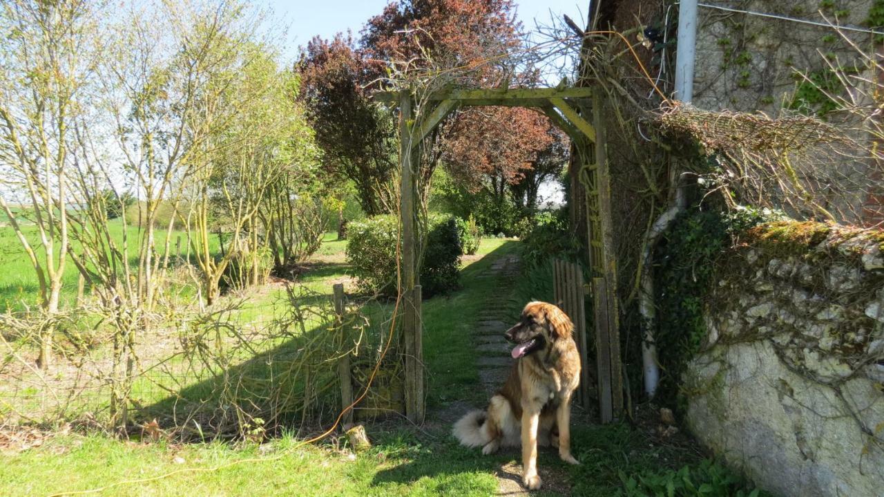 La Fosse Seche Bed & Breakfast Dolus-le-Sec Luaran gambar